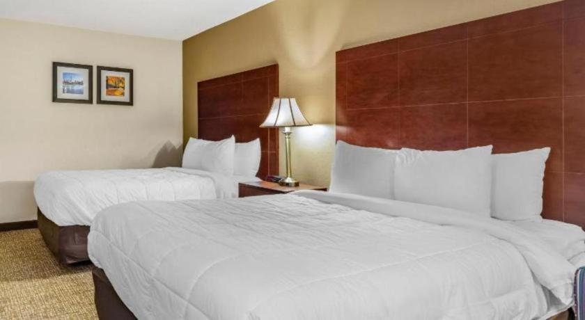 Comfort Inn Foxboro - Mansfield Foxborough Exterior photo