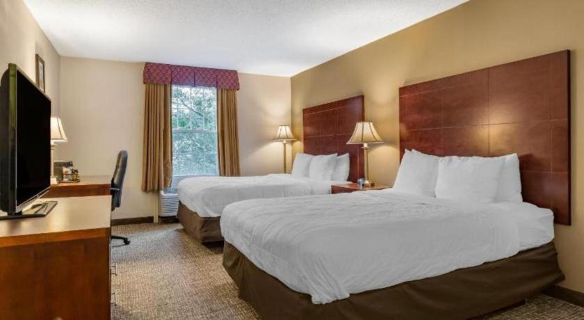 Comfort Inn Foxboro - Mansfield Foxborough Exterior photo
